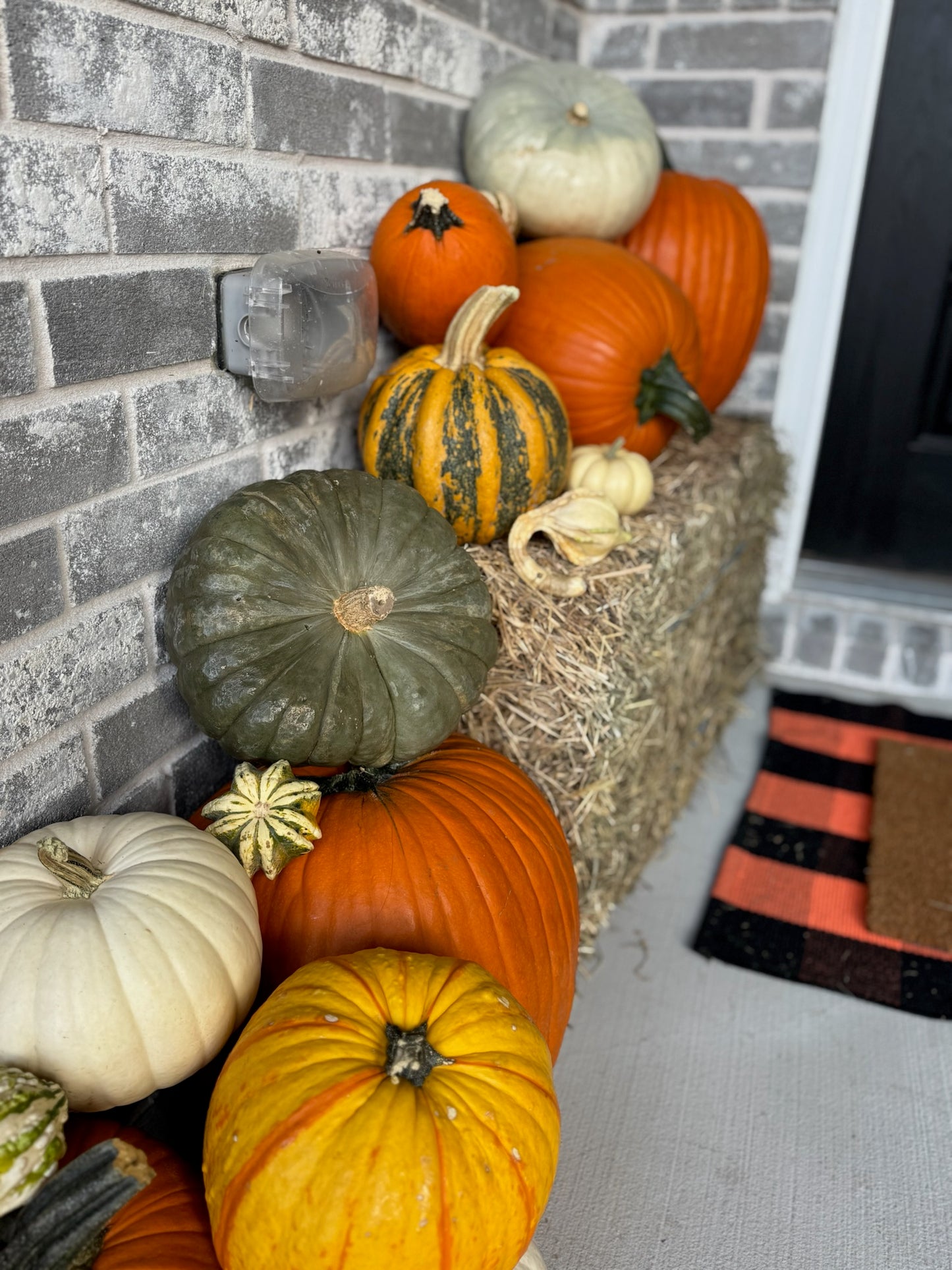 Pumpkin Patch Palooza