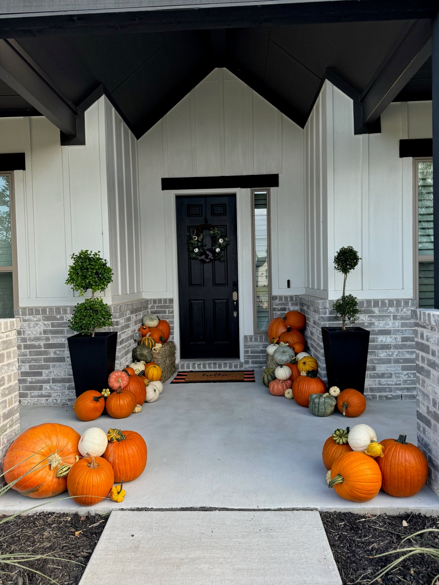 Pumpkin Patch Palooza