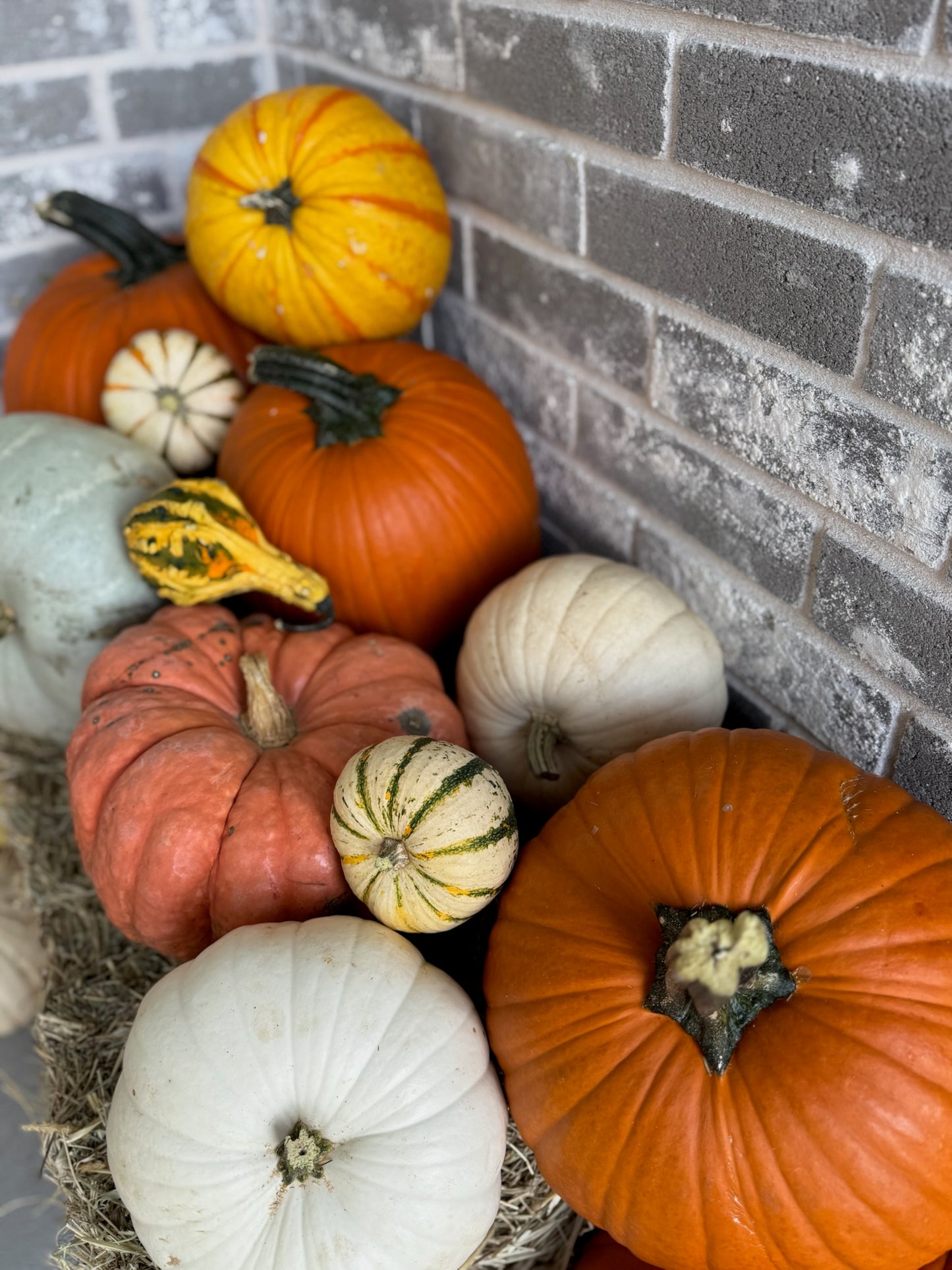 Harvest Haven